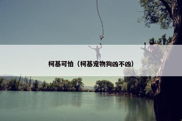 柯基可怕（柯基宠物狗凶不凶）