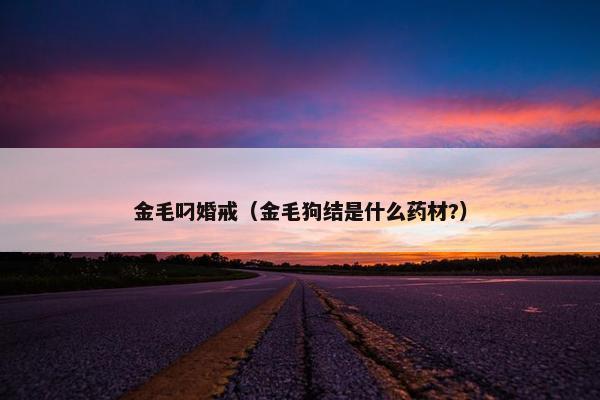 金毛叼婚戒（金毛狗结是什么药材?）
