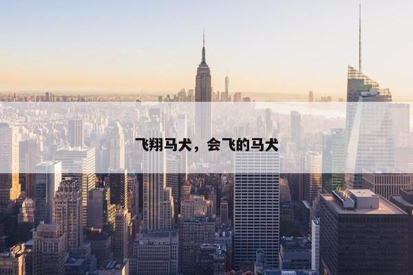 飞翔马犬，会飞的马犬