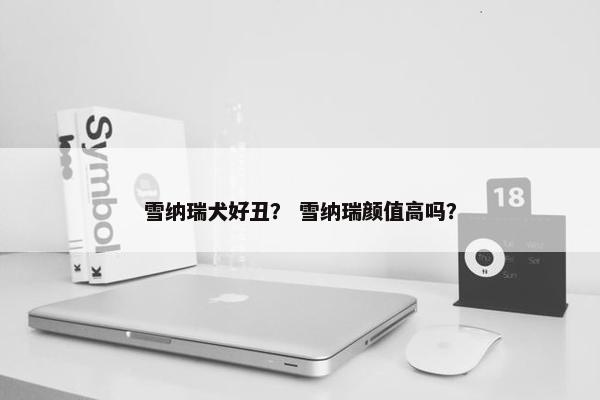 雪纳瑞犬好丑？ 雪纳瑞颜值高吗？