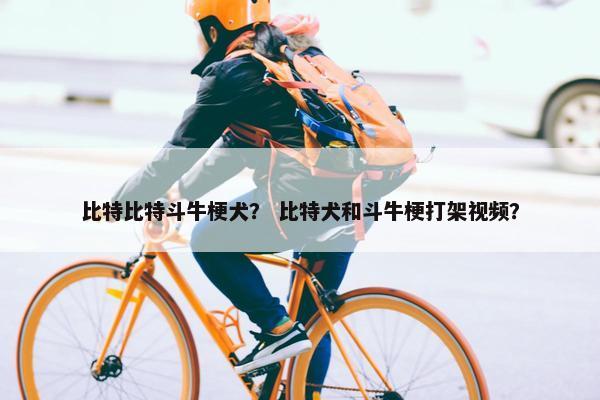 比特比特斗牛梗犬？ 比特犬和斗牛梗打架视频？