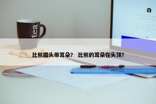 比熊圆头带耳朵？ 比熊的耳朵在头顶？