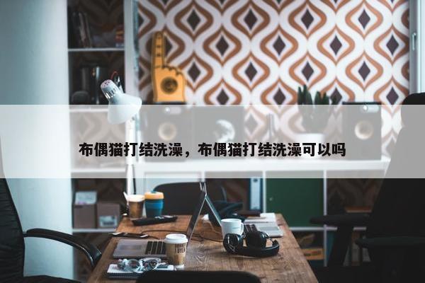 布偶猫打结洗澡，布偶猫打结洗澡可以吗