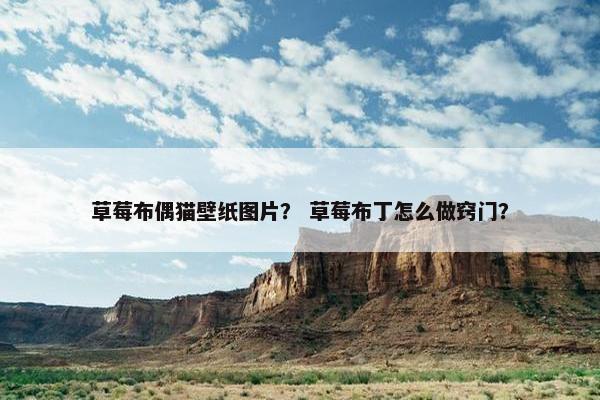 草莓布偶猫壁纸图片？ 草莓布丁怎么做窍门？