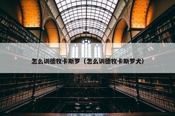 怎么训德牧卡斯罗（怎么训德牧卡斯罗犬）
