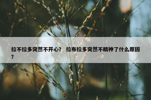 拉不拉多突然不开心？ 拉布拉多突然不精神了什么原因？