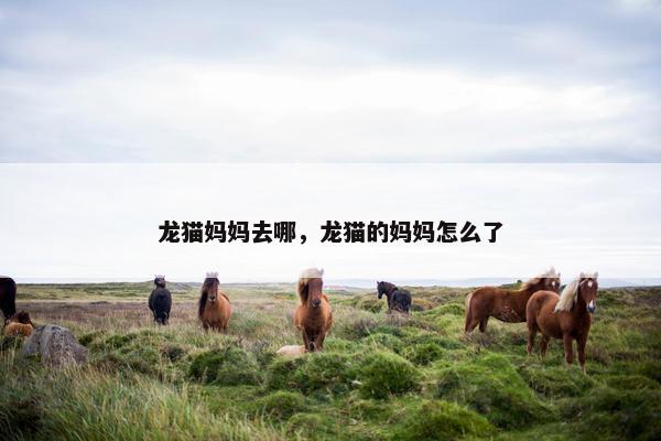 龙猫妈妈去哪，龙猫的妈妈怎么了