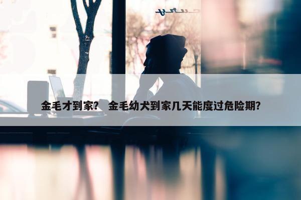 金毛才到家？ 金毛幼犬到家几天能度过危险期？