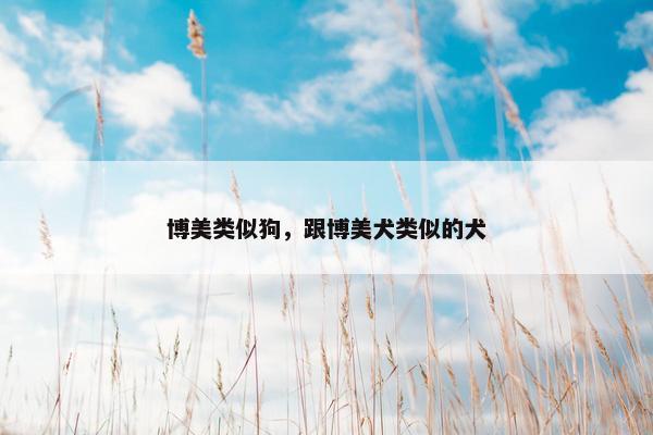博美类似狗，跟博美犬类似的犬