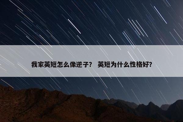 我家英短怎么像逆子？ 英短为什么性格好？