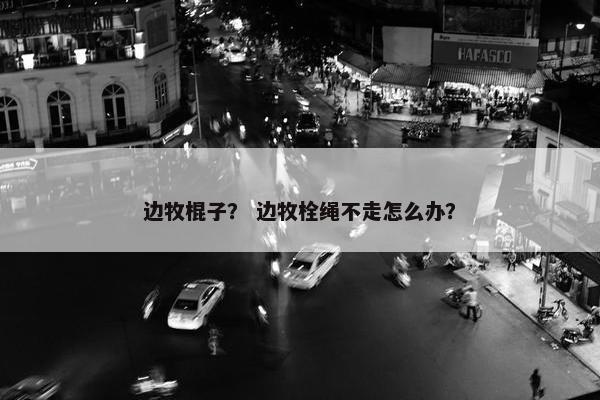 边牧棍子？ 边牧栓绳不走怎么办？