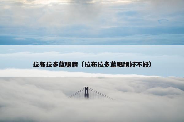 拉布拉多蓝眼睛（拉布拉多蓝眼睛好不好）