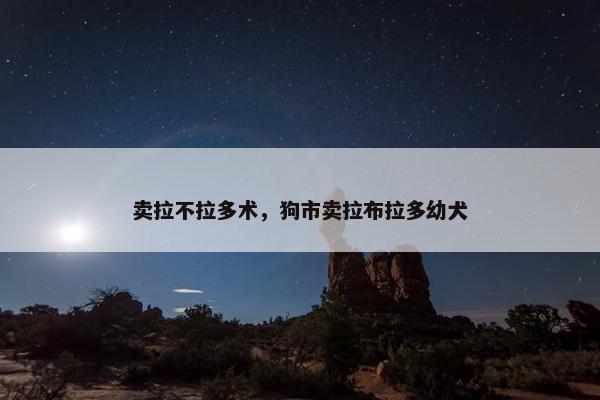 卖拉不拉多术，狗市卖拉布拉多幼犬