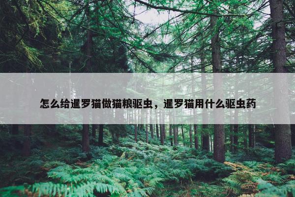 怎么给暹罗猫做猫粮驱虫，暹罗猫用什么驱虫药