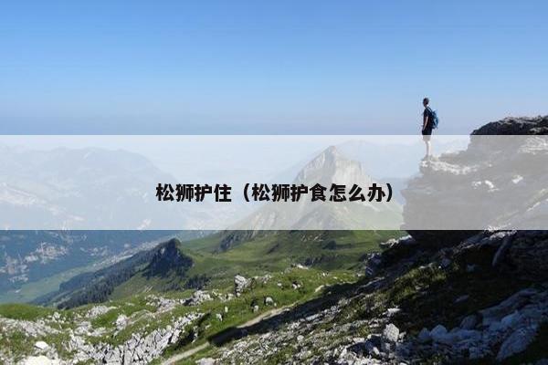 松狮护住（松狮护食怎么办）