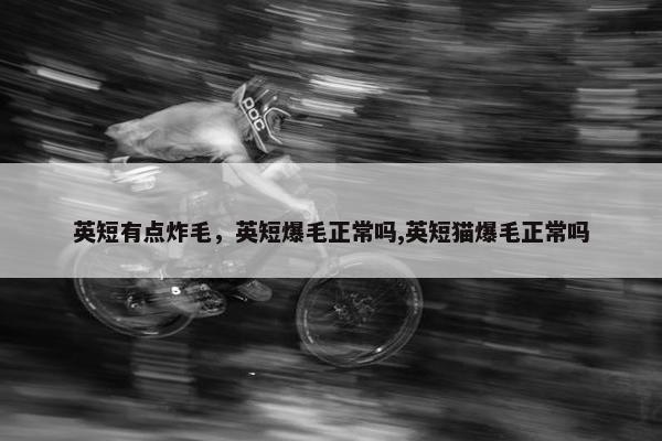 英短有点炸毛，英短爆毛正常吗,英短猫爆毛正常吗