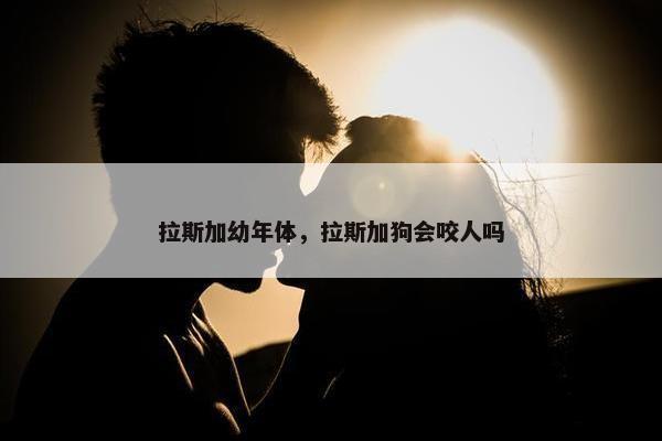 拉斯加幼年体，拉斯加狗会咬人吗