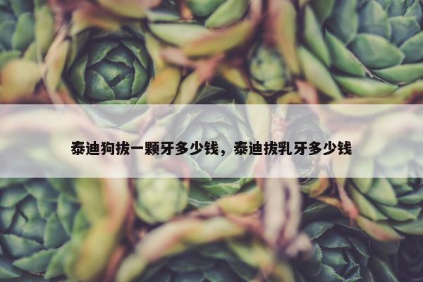 泰迪狗拔一颗牙多少钱，泰迪拔乳牙多少钱