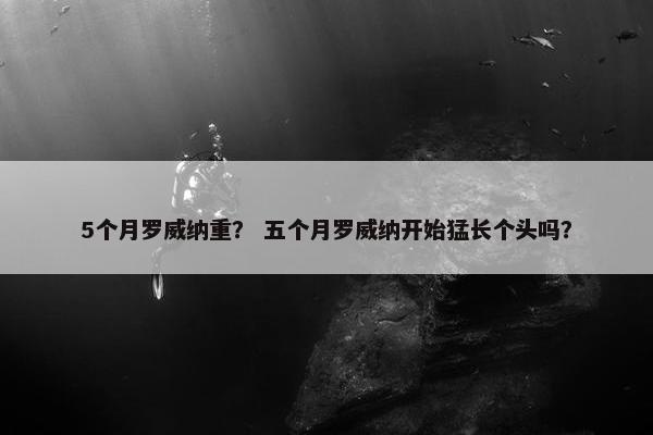 5个月罗威纳重？ 五个月罗威纳开始猛长个头吗？