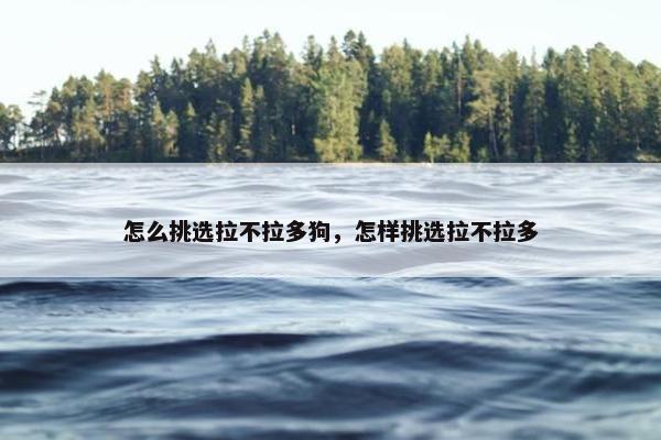 怎么挑选拉不拉多狗，怎样挑选拉不拉多