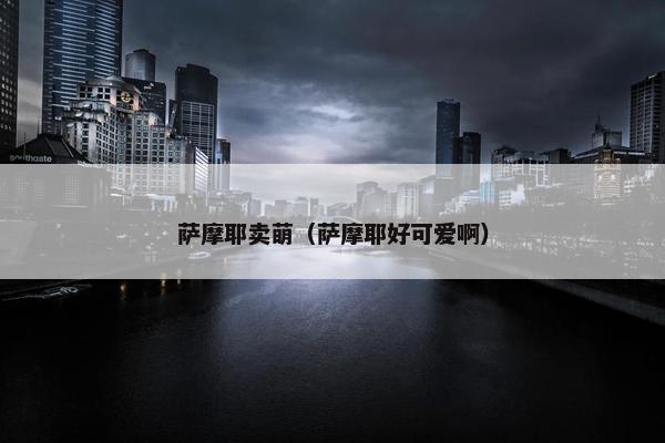 萨摩耶卖萌（萨摩耶好可爱啊）