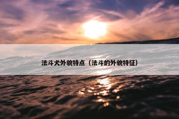 法斗犬外貌特点（法斗的外貌特征）