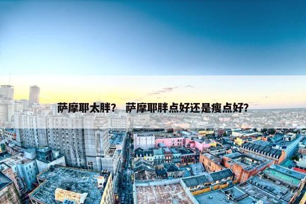 萨摩耶太胖？ 萨摩耶胖点好还是瘦点好？
