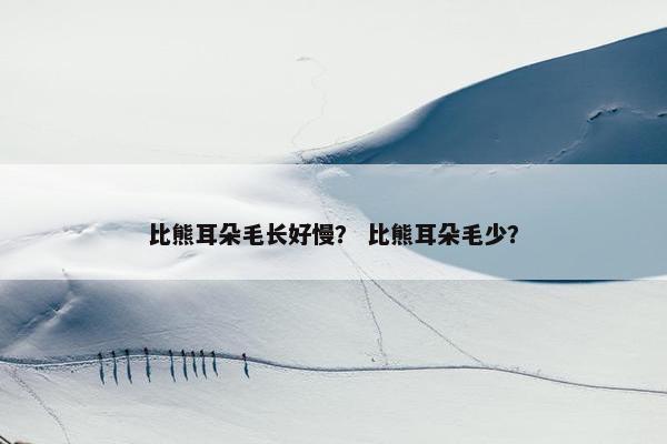 比熊耳朵毛长好慢？ 比熊耳朵毛少？