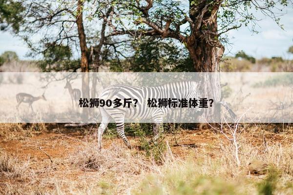 松狮90多斤？ 松狮标准体重？