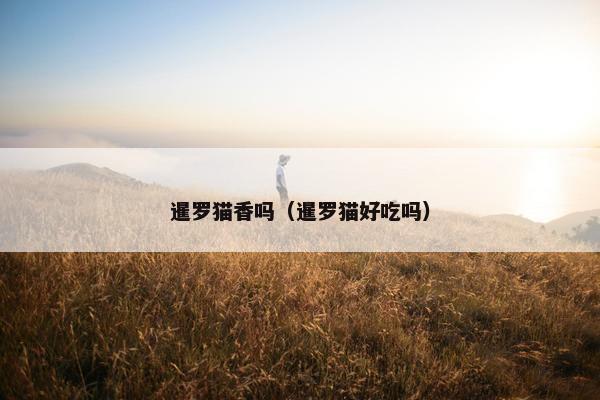 暹罗猫香吗（暹罗猫好吃吗）