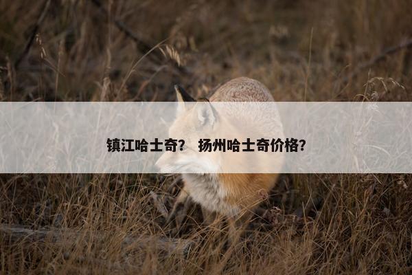 镇江哈士奇？ 扬州哈士奇价格？