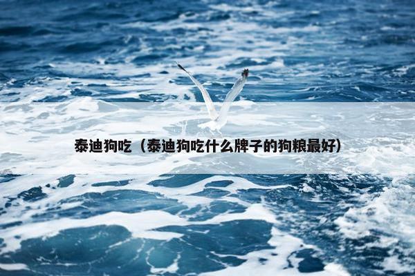 泰迪狗吃（泰迪狗吃什么牌子的狗粮最好）