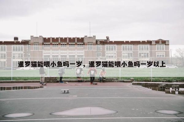 暹罗猫能喂小鱼吗一岁，暹罗猫能喂小鱼吗一岁以上