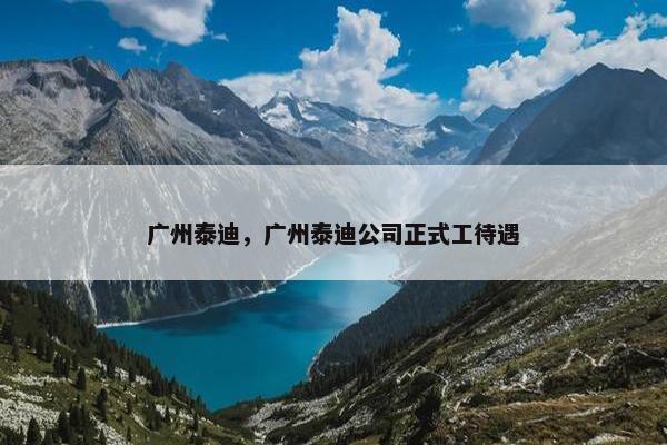 广州泰迪，广州泰迪公司正式工待遇