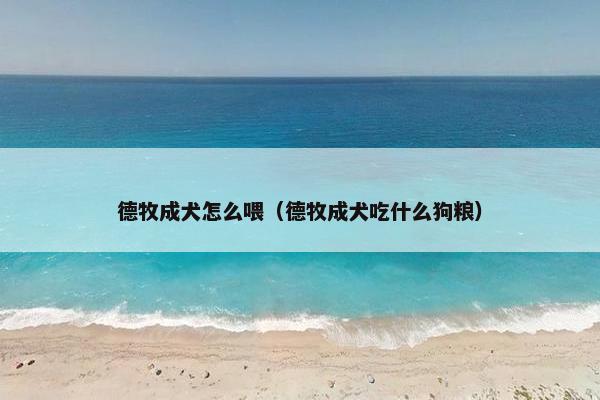 德牧成犬怎么喂（德牧成犬吃什么狗粮）