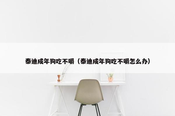泰迪成年狗吃不嚼（泰迪成年狗吃不嚼怎么办）