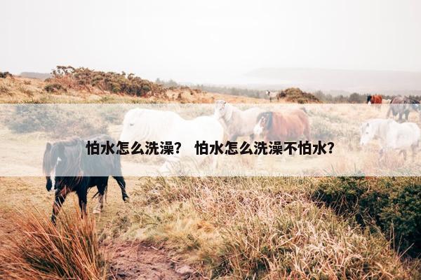 怕水怎么洗澡？ 怕水怎么洗澡不怕水？