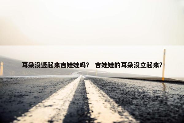 耳朵没竖起来吉娃娃吗？ 吉娃娃的耳朵没立起来？