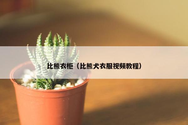 比熊衣柜（比熊犬衣服视频教程）