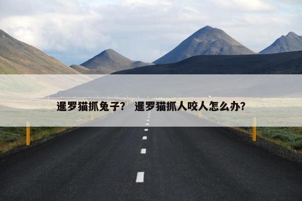 暹罗猫抓兔子？ 暹罗猫抓人咬人怎么办？