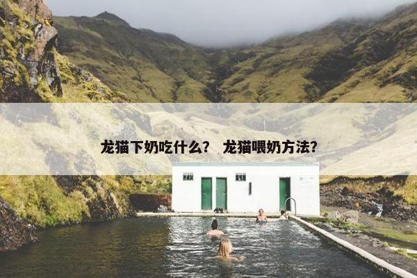 龙猫下奶吃什么？ 龙猫喂奶方法？