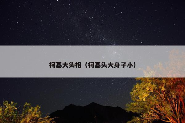 柯基大头相（柯基头大身子小）