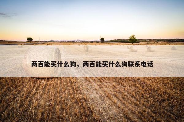 两百能买什么狗，两百能买什么狗联系电话
