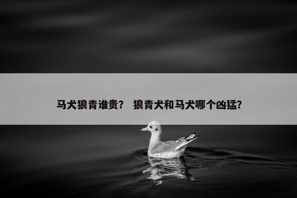 马犬狼青谁贵？ 狼青犬和马犬哪个凶猛？