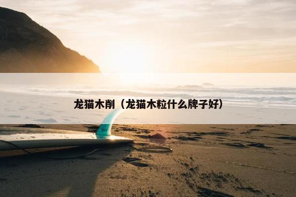 龙猫木削（龙猫木粒什么牌子好）