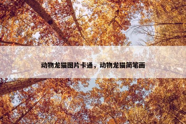 动物龙猫图片卡通，动物龙猫简笔画
