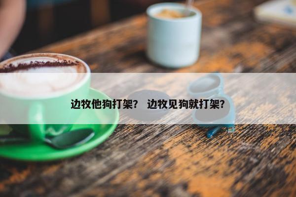 边牧他狗打架？ 边牧见狗就打架？