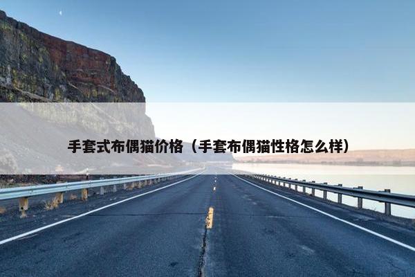 手套式布偶猫价格（手套布偶猫性格怎么样）