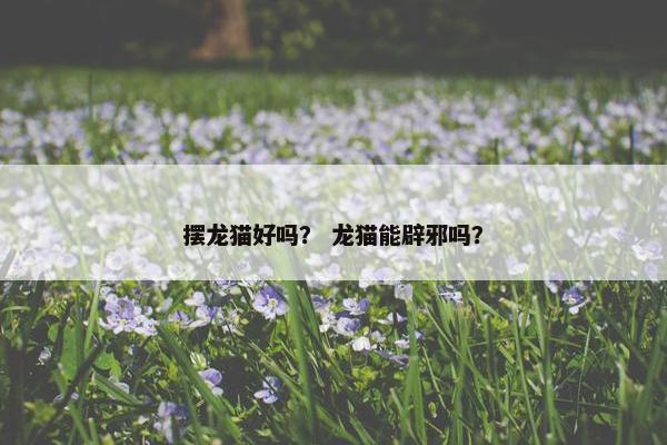 摆龙猫好吗？ 龙猫能辟邪吗？