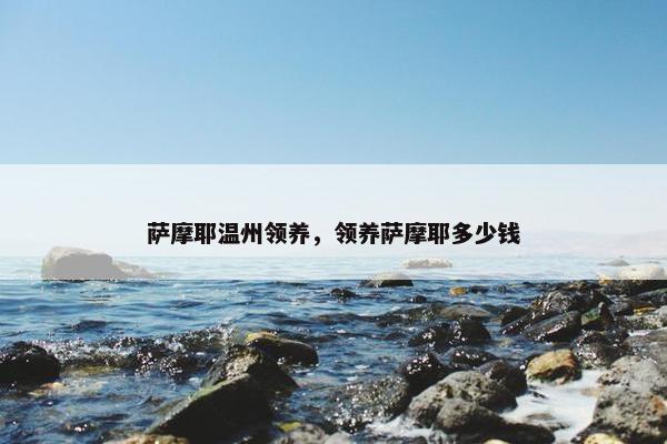 萨摩耶温州领养，领养萨摩耶多少钱